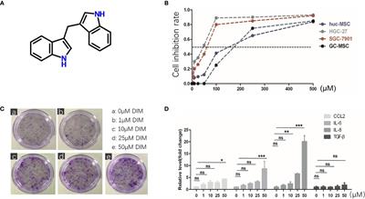 3,3′-Diindolylmethane Promotes Gastric Cancer Progression via β-TrCP-Mediated NF-κB Activation in Gastric Cancer-Derived MSCs